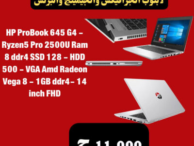 HP ProBook 645 G4 -