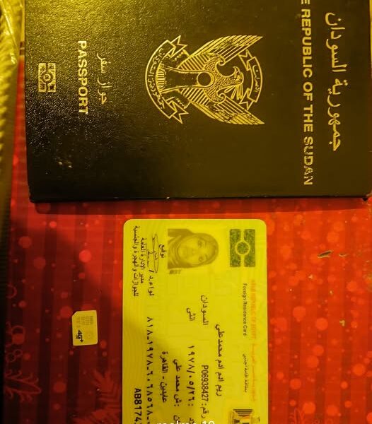 محفظه واقعه في حدائق الاهرام